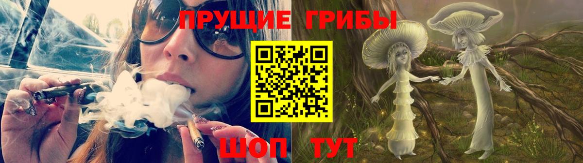 Галлюциногенные грибы Psilocybe Северобайкальск